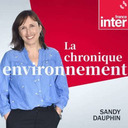 "La France n'émet qu'1% des émissions de gaz à effet de serre" : l'argument qui agace