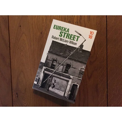 Eureka Street, Robert McLiam Wilson