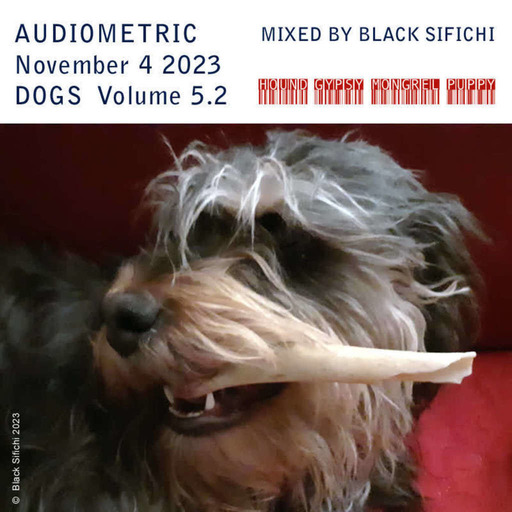 Audiometric  Dogs Volume 5.2 mixed by Black Sifichi