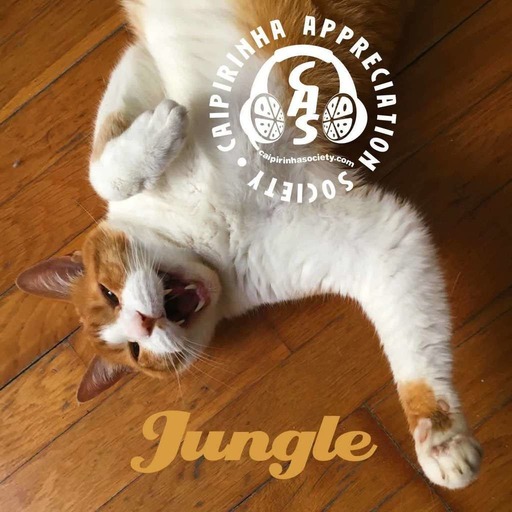 CAS 497 | Jungle