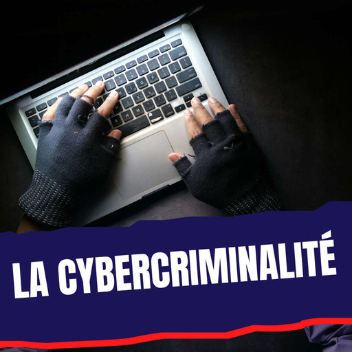 La cybercriminalité
