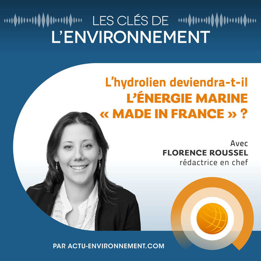 L’hydrolien deviendra-t-il l’énergie marine "made in France" ?