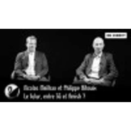 Nicolas Meilhan et Philippe Bihouix : Le futur, entre 5G et Amish ?