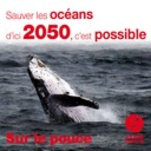 8 avril 2020 - Sauver les océans d’ici 2050, c’est possible - Sur le pouce