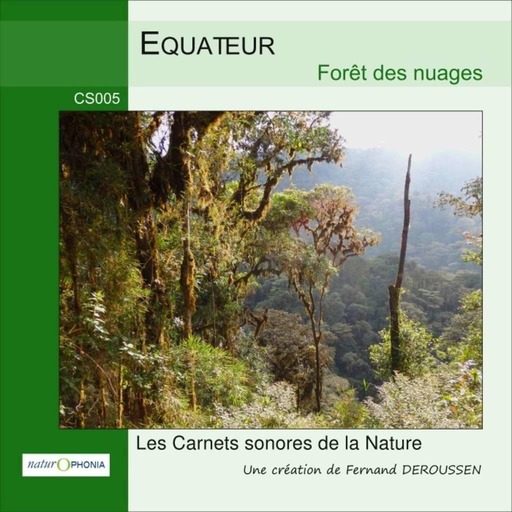 CS005_EQUATEUR_Forêt des nuages