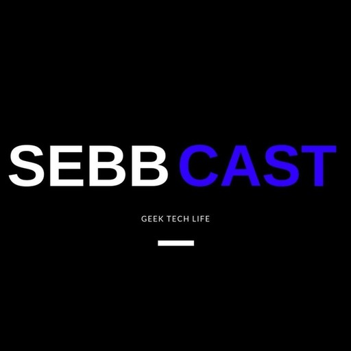 #oldcast - Streetcast Show 008 - La carrière professionnelle - SEBB CAST