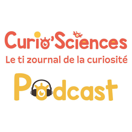 Teaser Curio'Sciences