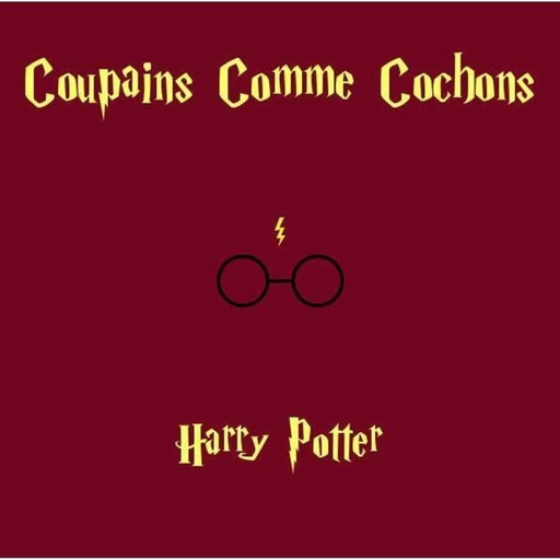 CCC#4 : Harry Potter