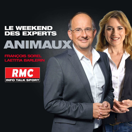 RMC : 26/08 - Vos Animaux - 7h-8h