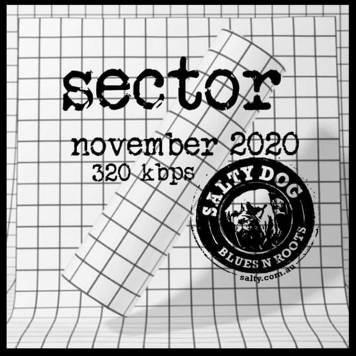 SECTOR Blues N Roots - Salty Dog (November 2020)