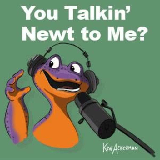 907 - U Talkin' Newt 2 Me?