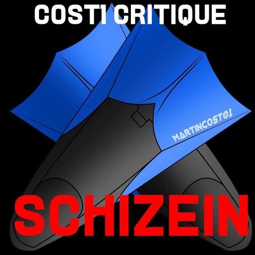 Cost1 Critique - Schizein