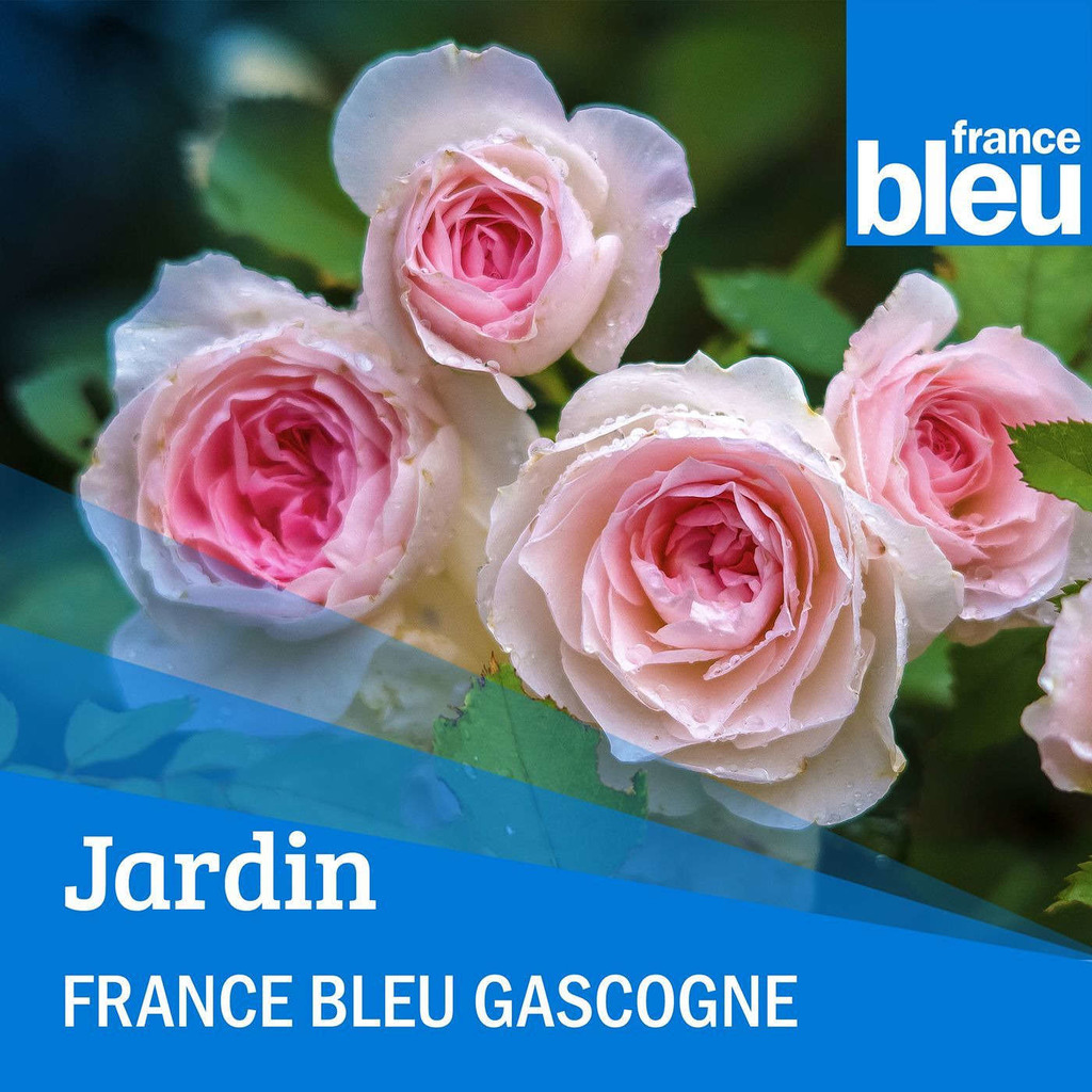 Le Jardin de Régine - France Bleu Gascogne