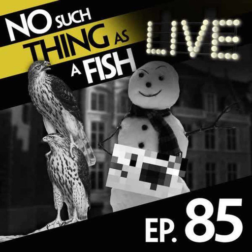 85: No Such Thing As Michelangelo's Snowman