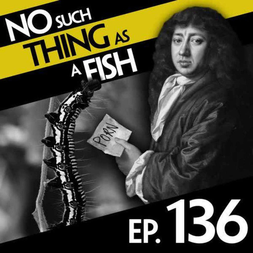 136: No Such Thing As A Wolf Diving For Clams