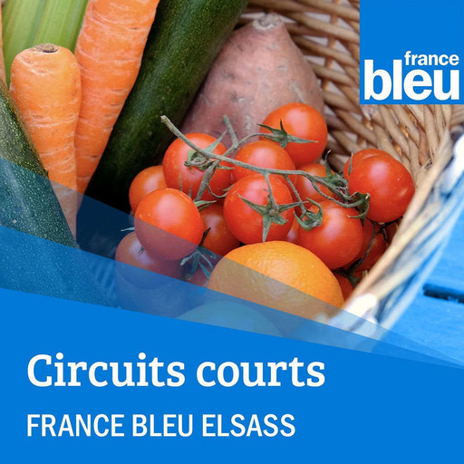 Circuit Bleu - Côté producteurs dans le Bassin Rhénan - FB Elsass