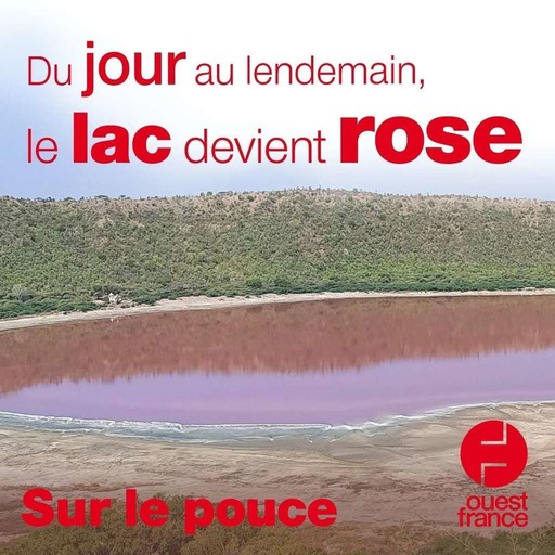15 juin 2020 - Du jour au lendemain, le lac devient rose - Sur le pouce