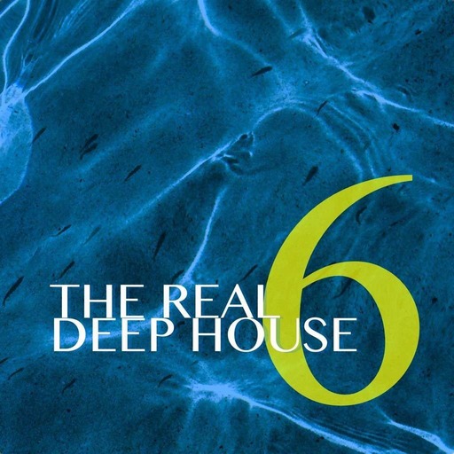 THE REAL DEEP HOUSE. (2016) SIXTH CHAPTER