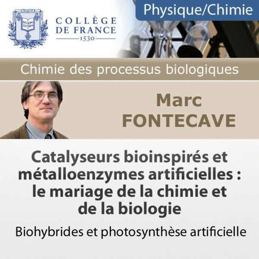02 - Catalyseurs bioinspirés et métalloenzymes artificielles : mariage chimie et biologie