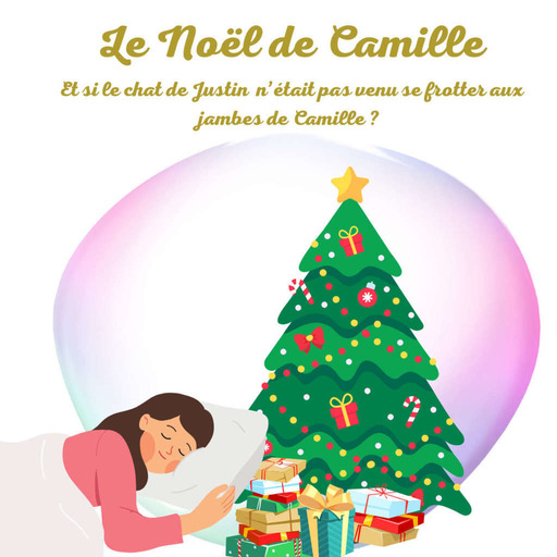 Le Noël de Camille - Et si le chat n'était pas venu se frotter aux jambes de Camille ?