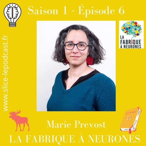 Episode 6 : Marie Prévost et la Fabrique à Neurones
