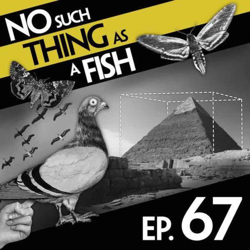 67: No Such Thing As The Hoo-Hah Monologues