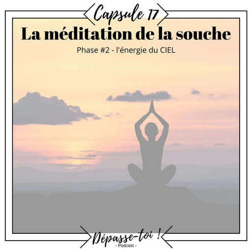 Capsule #17 -  Méditation de la souche (Guidée) - l'énergie du Ciel 2/3
