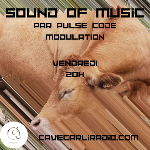 Sound of Music par Pulse Code Modulation S8 EP28