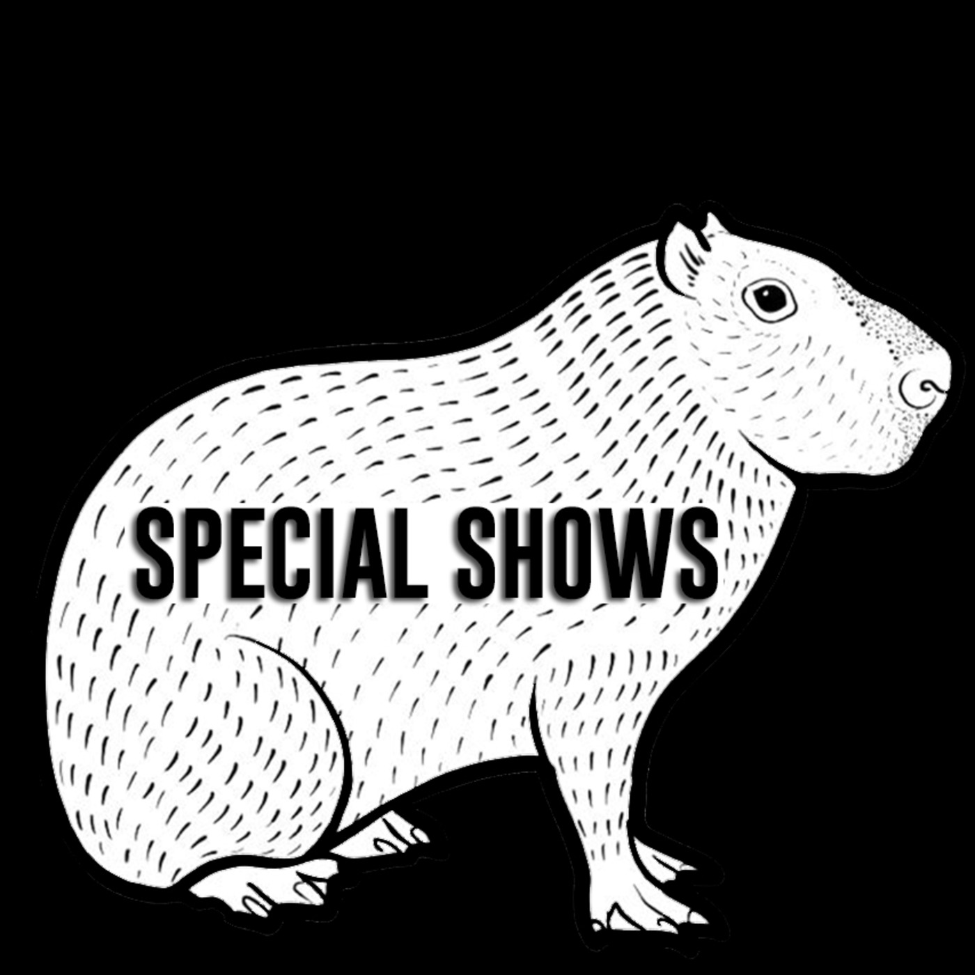 Radio Chiguiro - Special shows