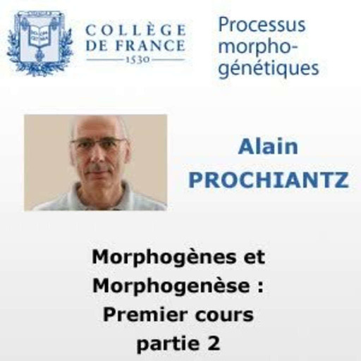 Processus morphogénétiques : Morphogènes et Morphogenèse (1 suite)