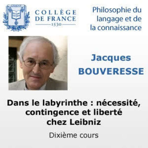 10 - Dans le labyrinthe : nécessité, contingence et liberté chez Leibniz