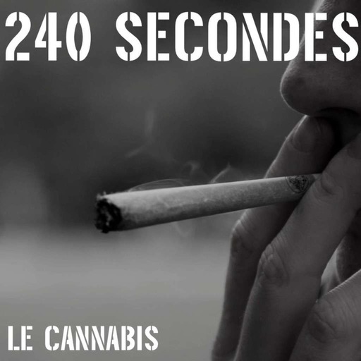 240 secondes - Le cannabis