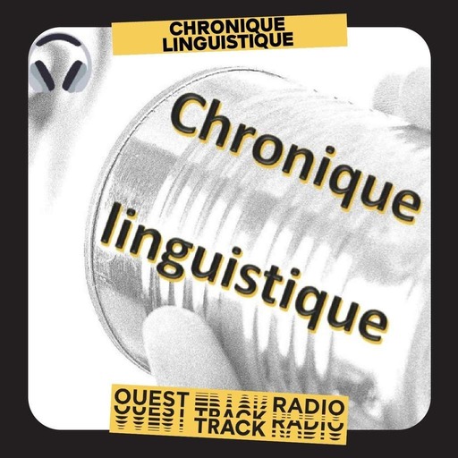 Chronique Linguistique 05 - Le Roumain