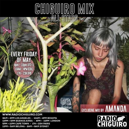 Chiguiro Mix #141 - Amanda