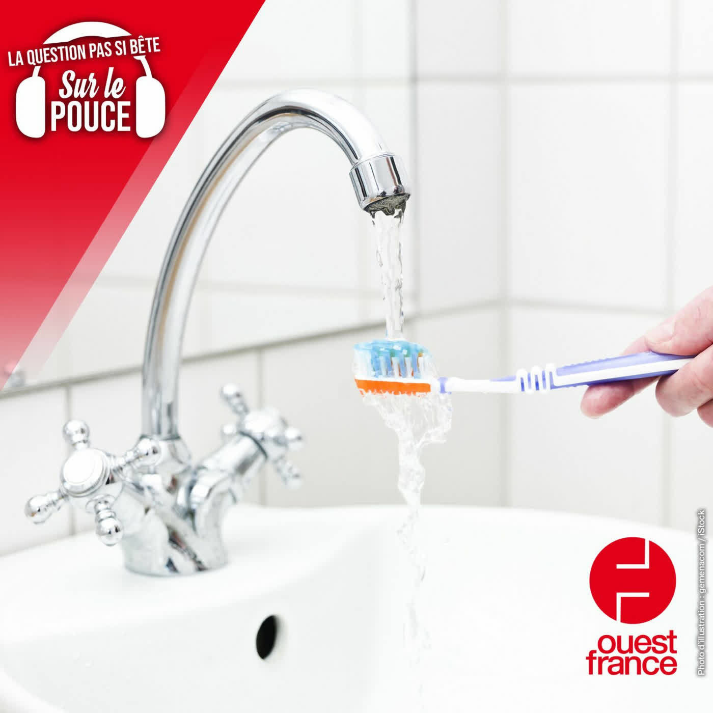 Doit-on mouiller sa brosse à dents avant ou après avoir mis le dentifrice ? - Sur le pouce, les questions pas si bêtes