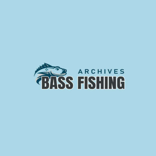 Best Reel For Surf Fishing Is Best Suited For Professional Anglers