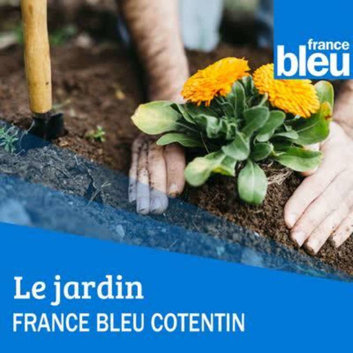 Le jardin de FBC : Christophe GUERRAND & Dorian BARRÉ