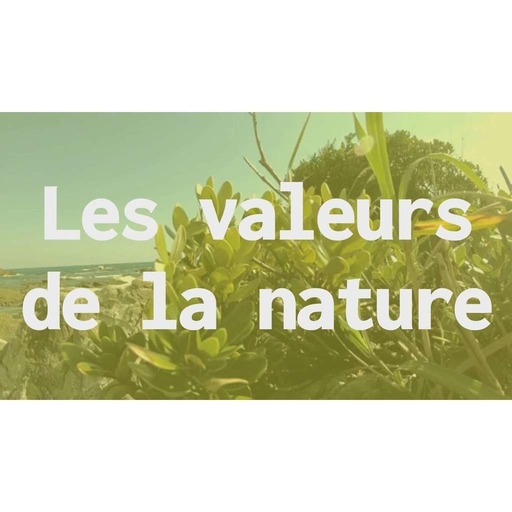 Écologie à l'IHPST #2 - Les valeurs de la nature