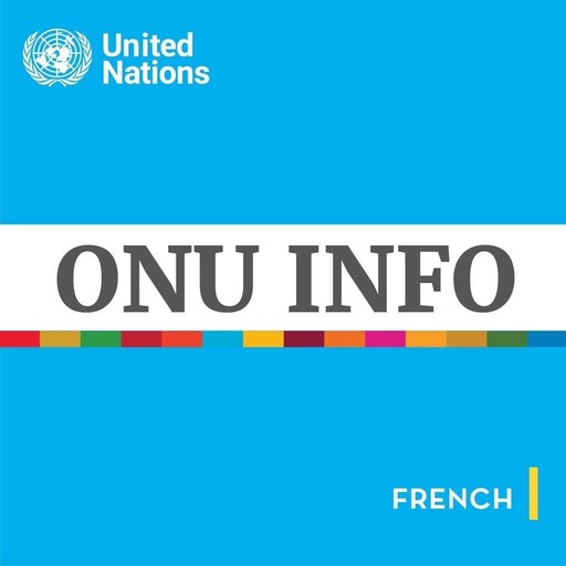 🎙️ Bulletin ONU Info du 23 novembre 2020
