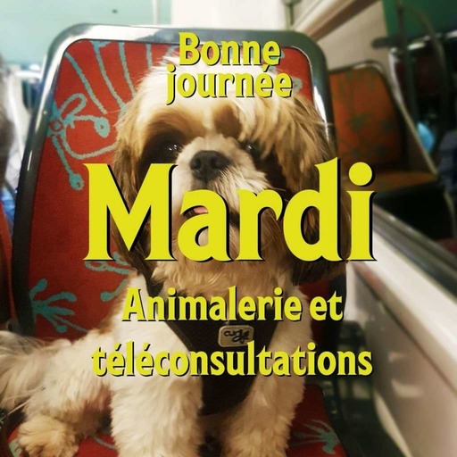 S01E02 - Mardi : Animalerie et téléconsultations