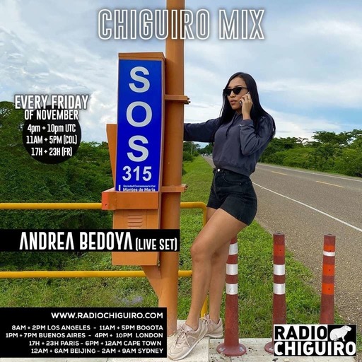 Chiguiro Mix #162 - Andrea Bedoya