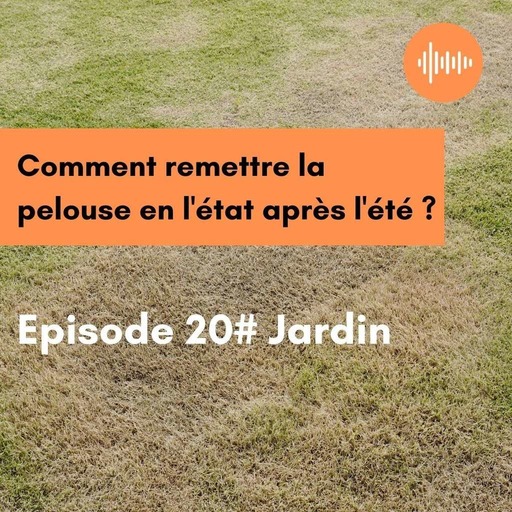 Podcast 20 // Jardin : Comment remettre la pelouse en l'état après l'été ?