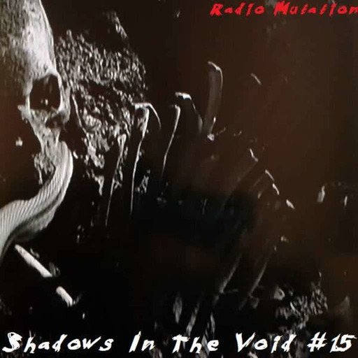 Shadows In The Void #15
