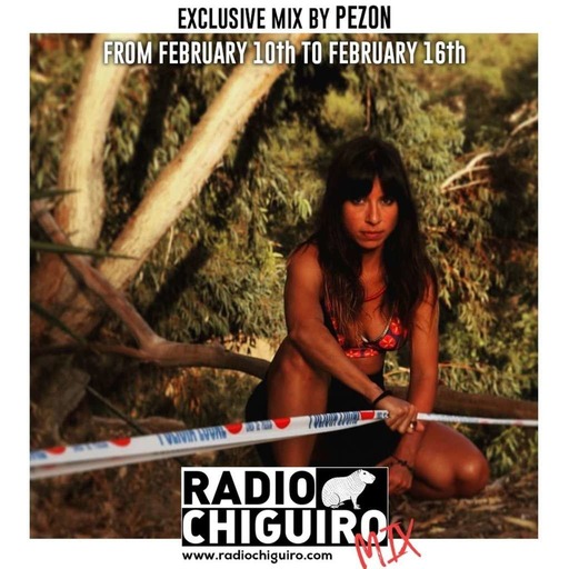 Chiguiro Mix #079 - Pezon