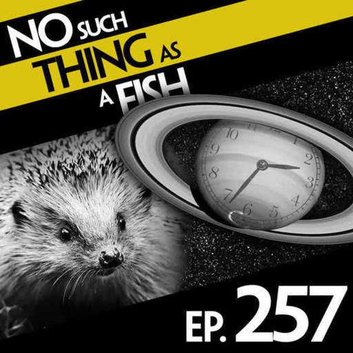 257: No Such Thing As A Squilkman