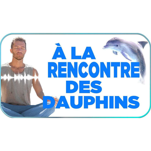 À LA RENCONTRE DES DAUPHINS (SelfCast n°102)