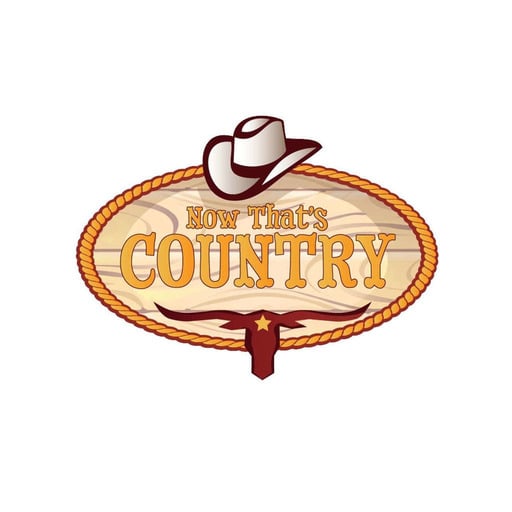 Now That's Country - 25