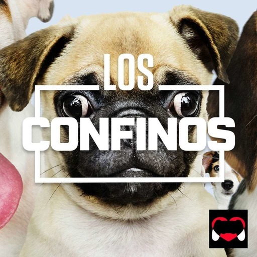 #59 LOS CONFINOS 05 - Le journal des joueurs confinés - Doom Eternal 😈brutalise les joueurs pour le meilleur.
