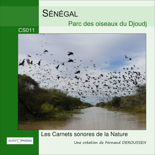 CS011_SENEGAL_Djoudj national parc