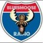 Blues Music (Blues moose radio)